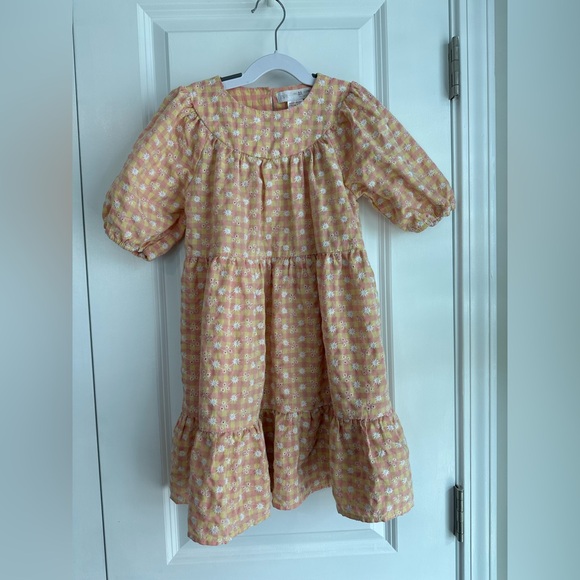 Zara Other - Zara Girls Gingham Floral Embroidered Puff Sleeve Dress Pink Size 4-5